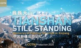 新疆爆料视频最新,揭秘背后惊人内幕